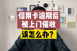 凤泉凤泉讨债公司服务