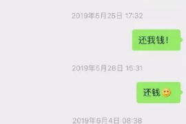 凤泉为什么选择专业追讨公司来处理您的债务纠纷？